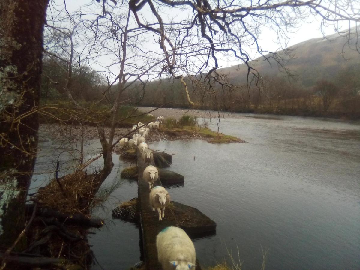 Dalmally Railway Station, Loch Awe Stronmilchan ภายนอก รูปภาพ